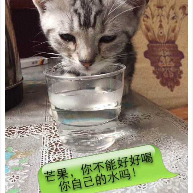 日本大宫法科大学院大学在读证明办理
